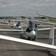 Glider competition grid at 2004 UK Standard Class Nationals, Aston Down. (Image: Stephen Cook, Cotswold Gliding Club 2004)